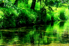 緑の川面