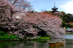 和の情景