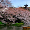 和の情景