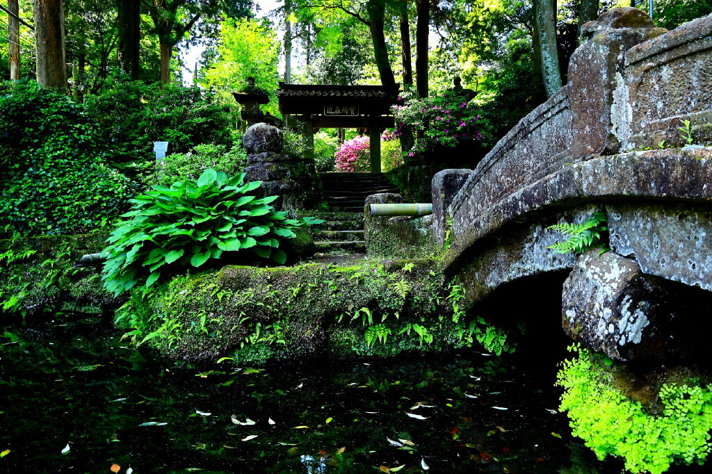 北鎌倉浄智寺