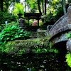 北鎌倉浄智寺
