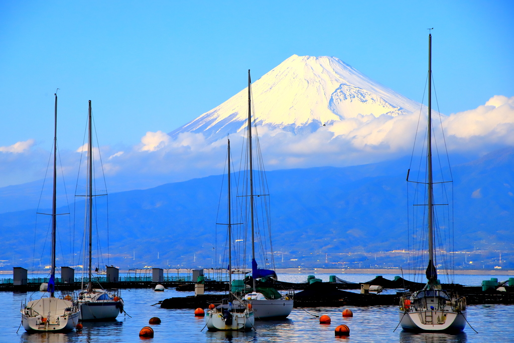 静かな海