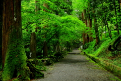 静かな参道