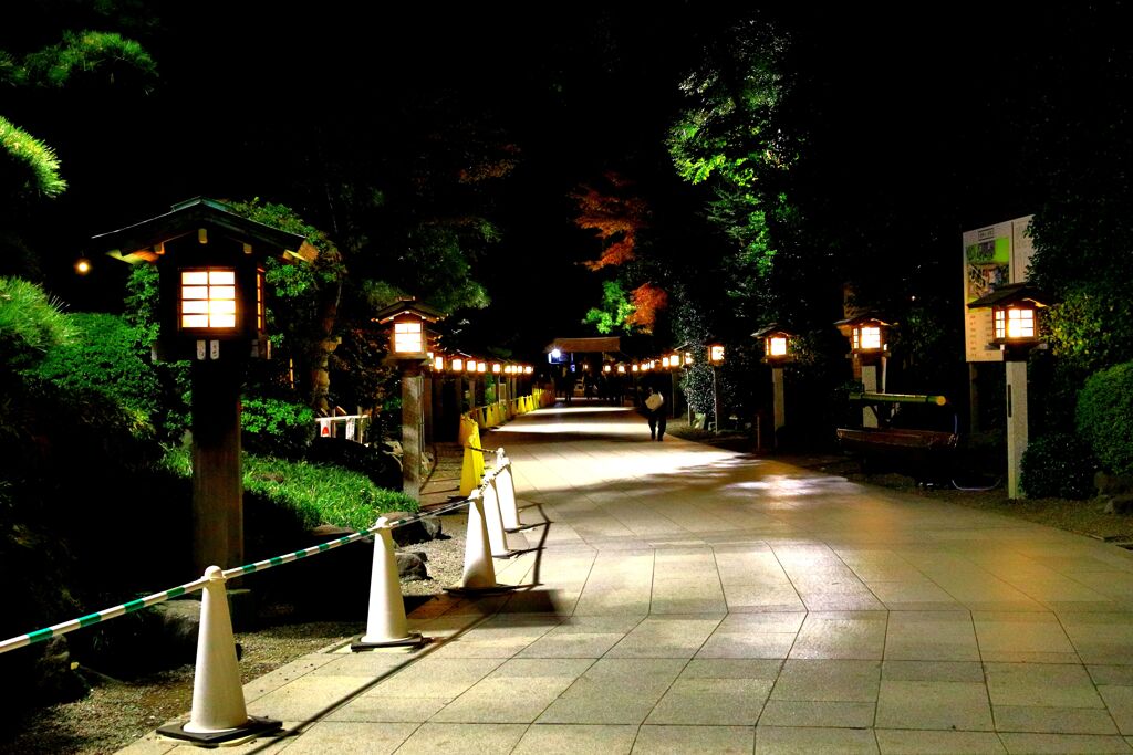 夜明けの参道