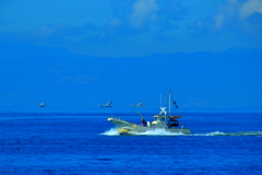 海原を進む