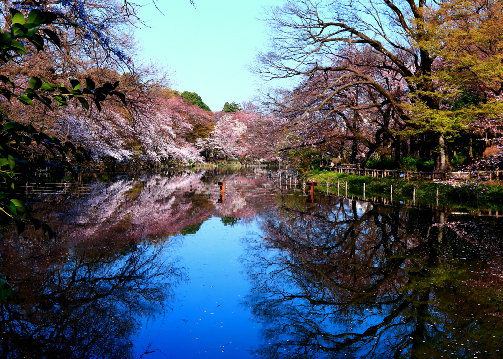 静かな時