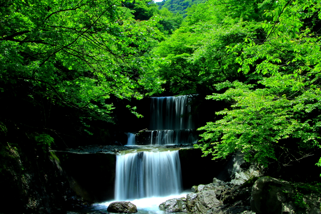 癒しの水音