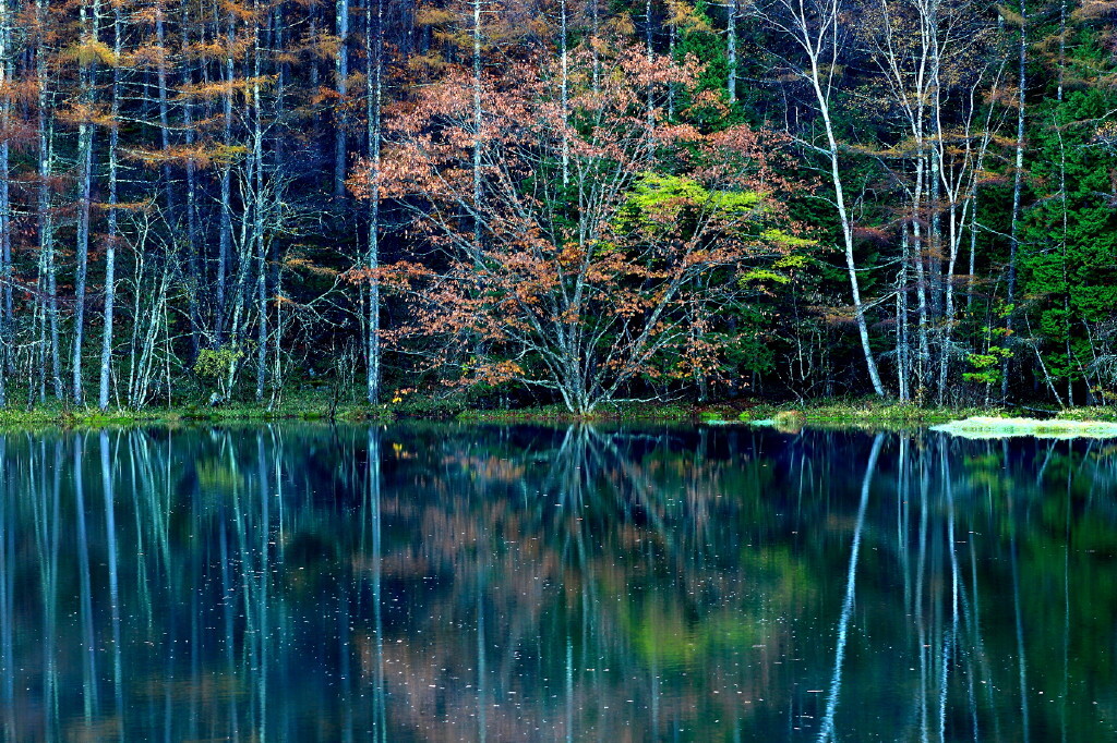 秋の幻景