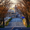 静かな朝