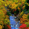 渓流の秋