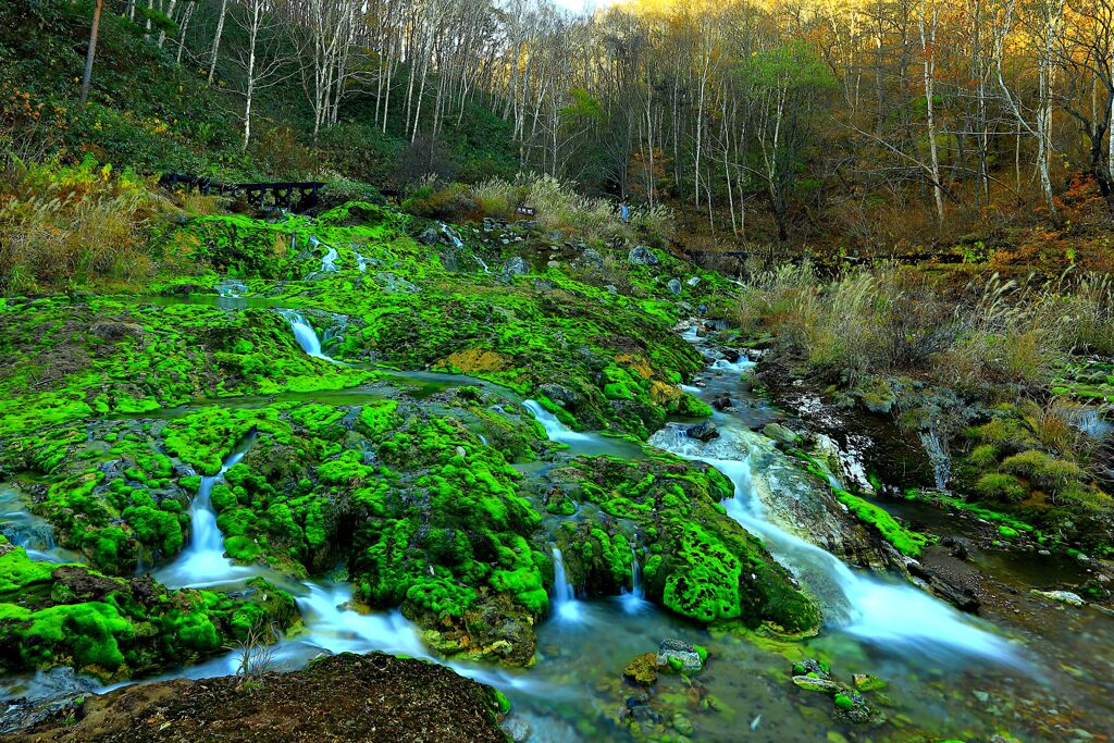 苔の河原