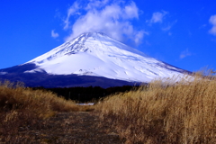 冬の景観