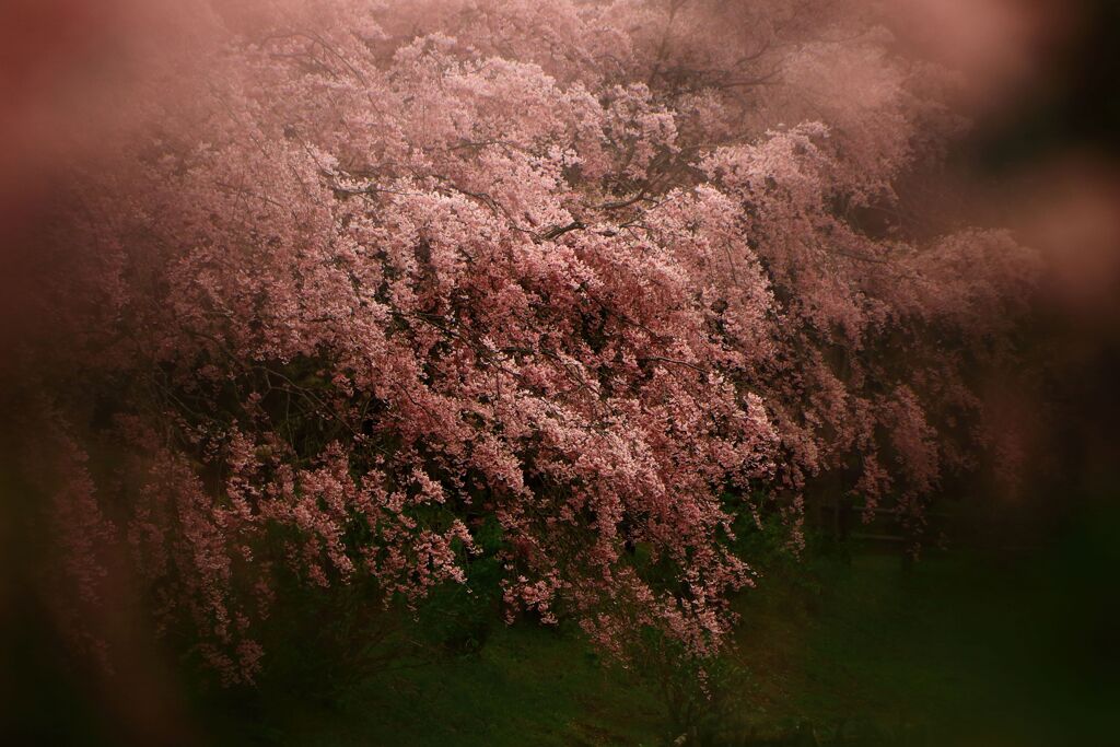 春の息吹