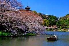 和の情景