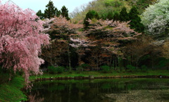 最明寺史跡公園