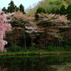 最明寺史跡公園