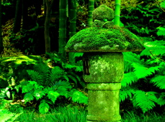 苔生す石灯篭