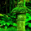 苔生す石灯篭
