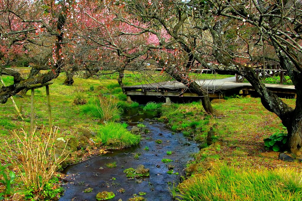 季節の風景