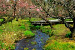 季節の風景