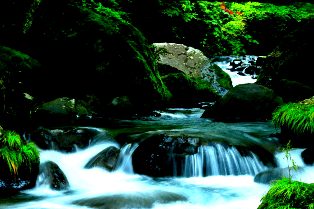 緑陰の景