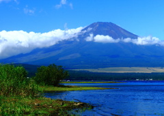 富士五湖めぐり・山中湖畔