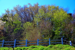 山笑う 山笑う