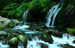飛沫