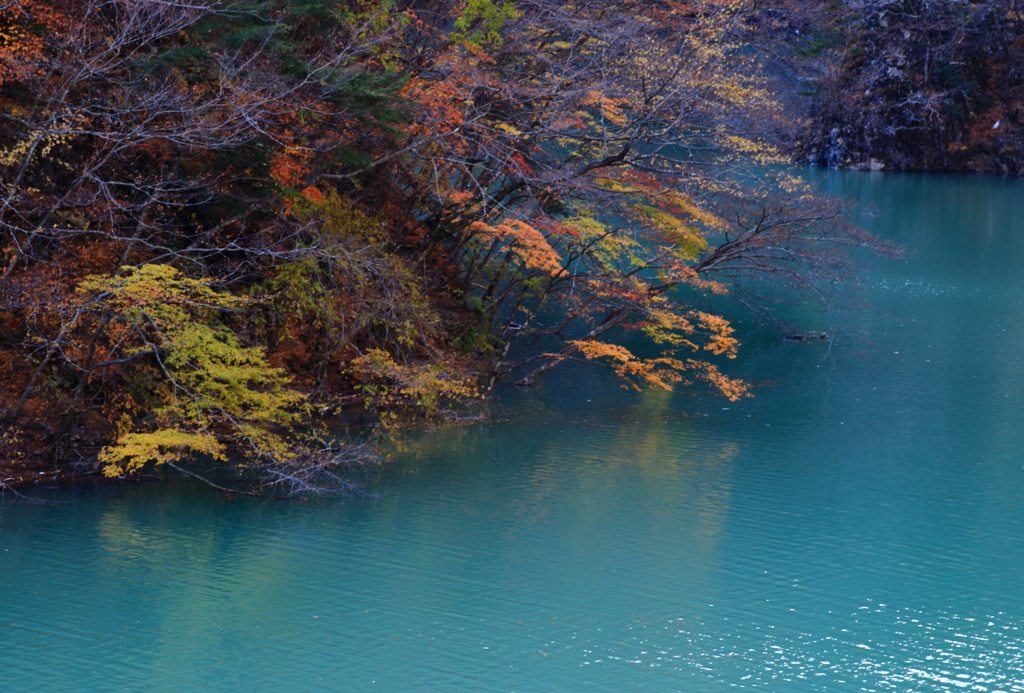 晩秋の静けさ