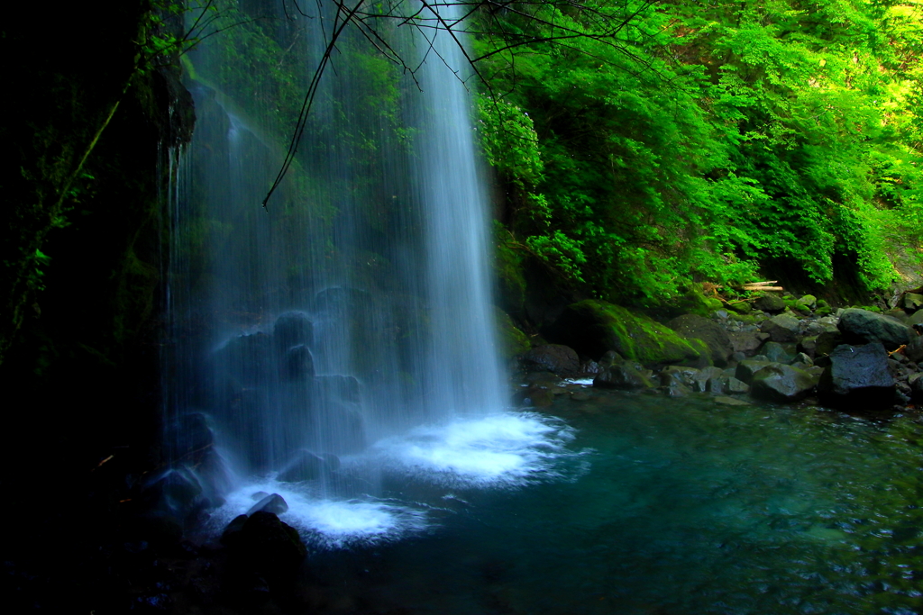 癒しの水音