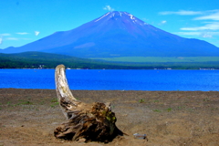 季節の風景