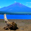 季節の風景