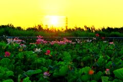 夜明けの詩