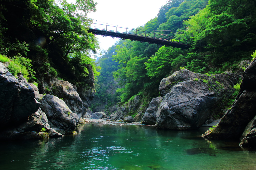 新緑の渓谷