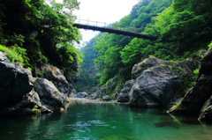 新緑の渓谷
