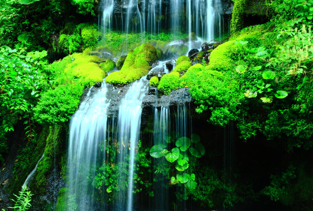 緑陰の流水
