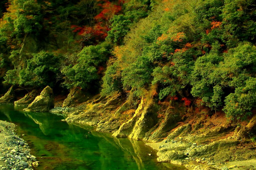 渓流の景