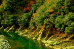 渓流の景
