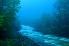 雨の渓流