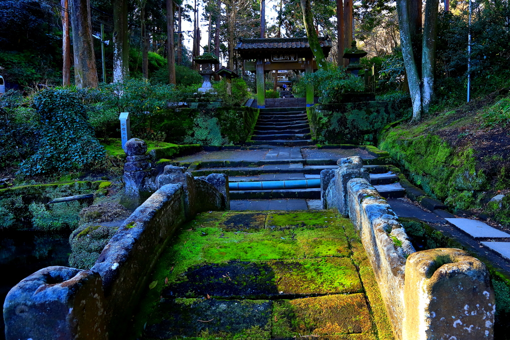 北鎌倉浄泉寺