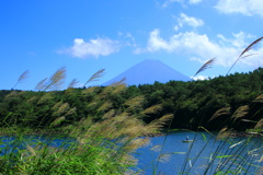 富士五湖めぐり・精進湖