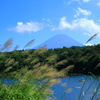 富士五湖めぐり・精進湖