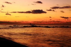 夜明けの海