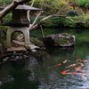 池泉庭園（ちせんていえん）