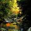 秋の渓流