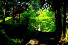 大雄山最乗寺