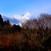 季節の風景