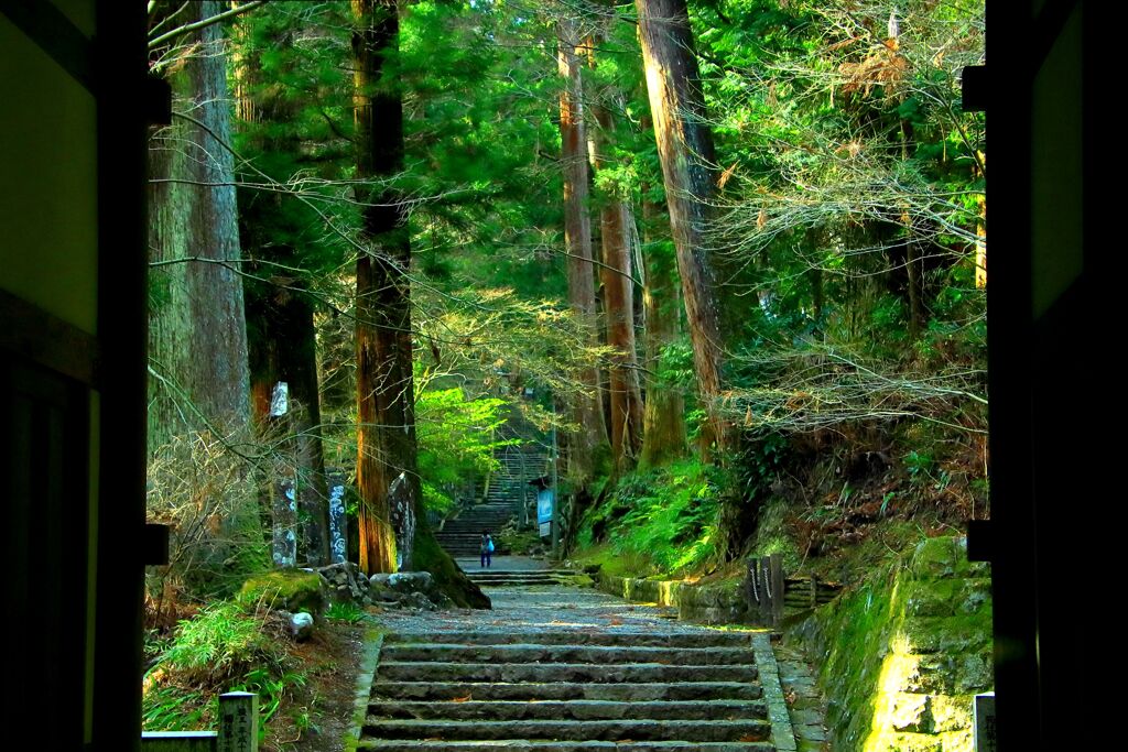 静かな参道