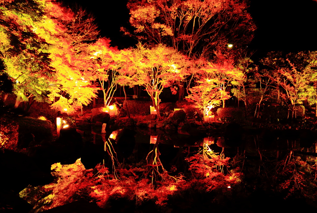 晩秋の彩（いろどり）