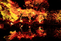 晩秋の彩（いろどり）
